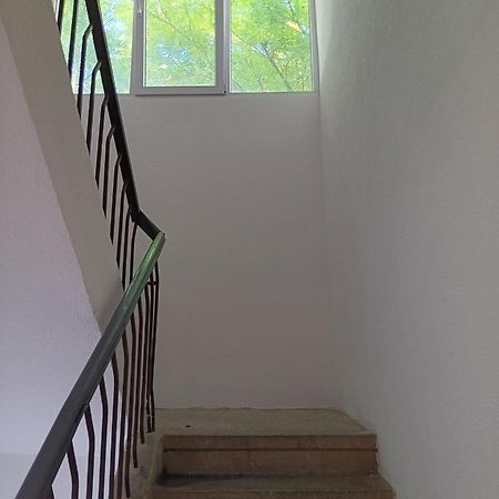 Hostel Apartman Sonja Dubrownik Zewnętrze zdjęcie